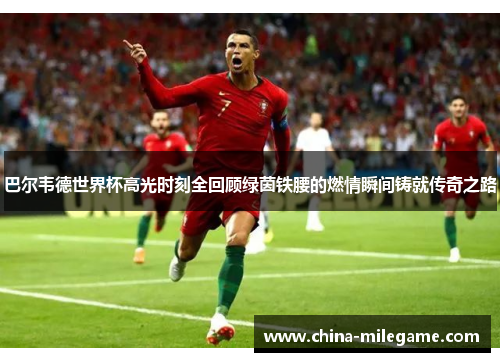 巴尔韦德世界杯高光时刻全回顾绿茵铁腰的燃情瞬间铸就传奇之路 巴尔韦德世界杯高光时刻全回顾绿茵铁腰的燃情瞬间铸就传奇之路