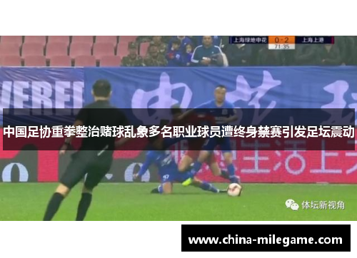 中国足协重拳整治赌球乱象多名职业球员遭终身禁赛引发足坛震动 中国足协重拳整治赌球乱象多名职业球员遭终身禁赛引发足坛震动